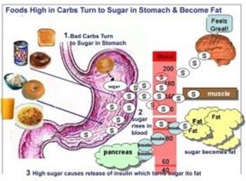 &quot;Hcg Diet Recipes Phase 2 Meatloaf's Son