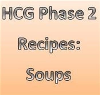 &quot;Hcg Diet 500 Calorie Meal Plan