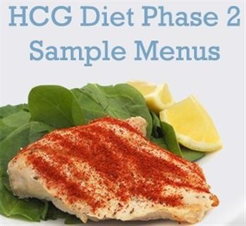 &quot;Hcg Maintenance Phase 3 Recipes For Fast Weight