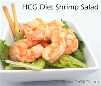 &quot;Hcg Phase 2 Diet Recipes Free