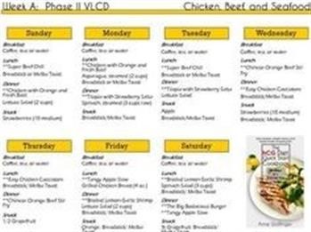 &quot;Hcg Diet Recipes Phase 2 Apple Day