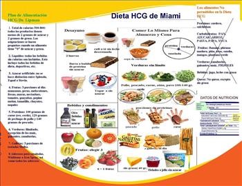 &quot;Hcg 500 Calorie A Day Diet Plan